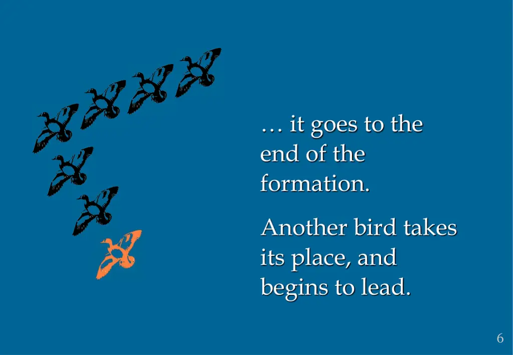 it goes to the end of the formation