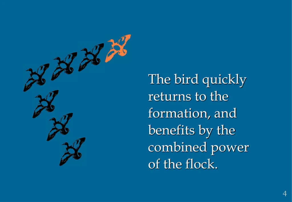 the bird quickly returns to the formation