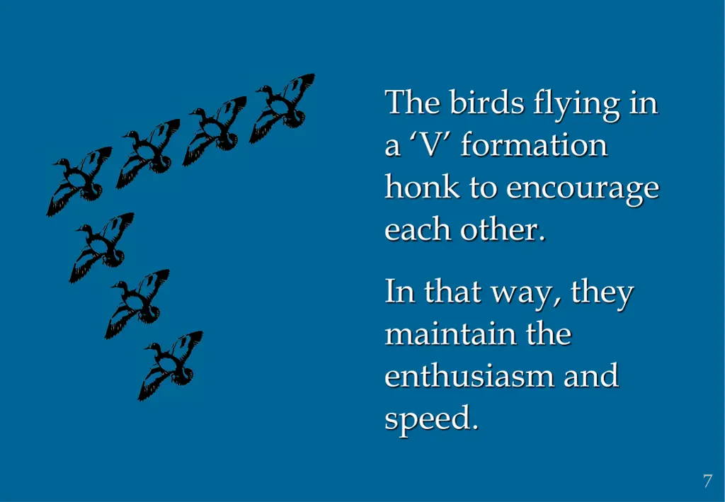 the birds flying in a v formation honk