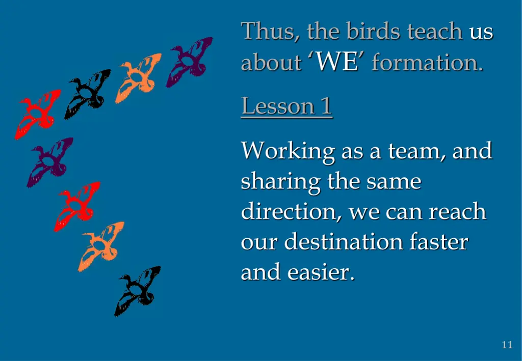 thus the birds teach us about we formation