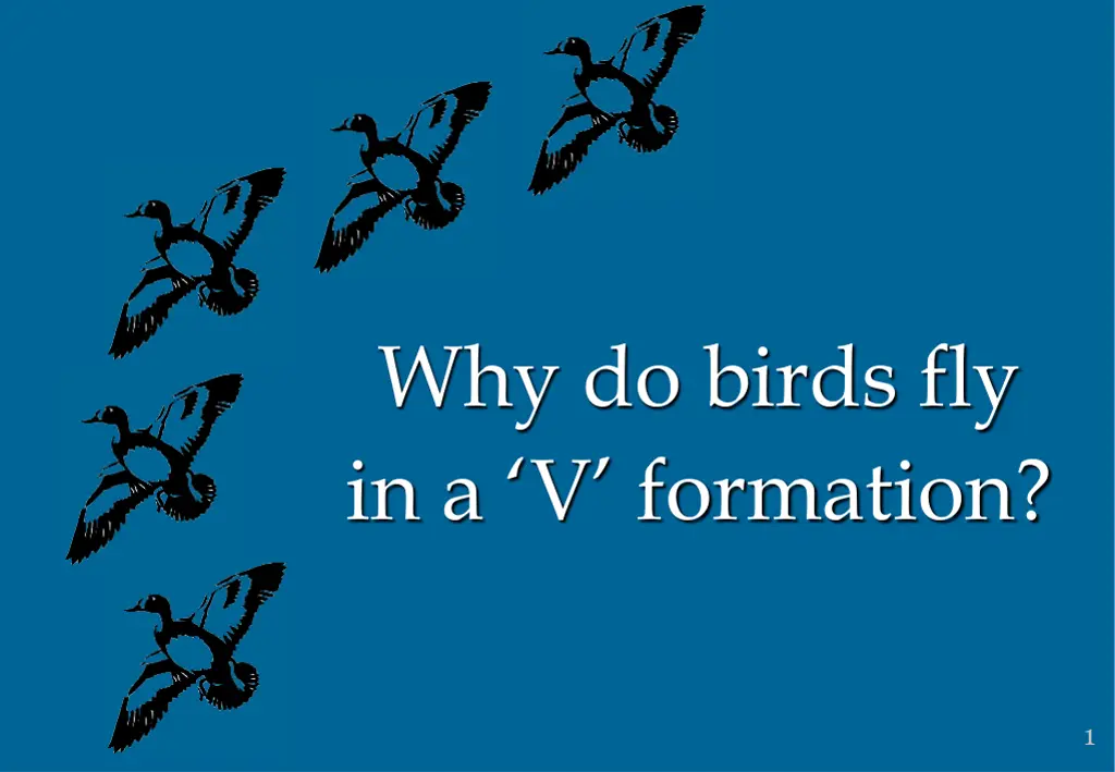 why do birds fly in a v formation