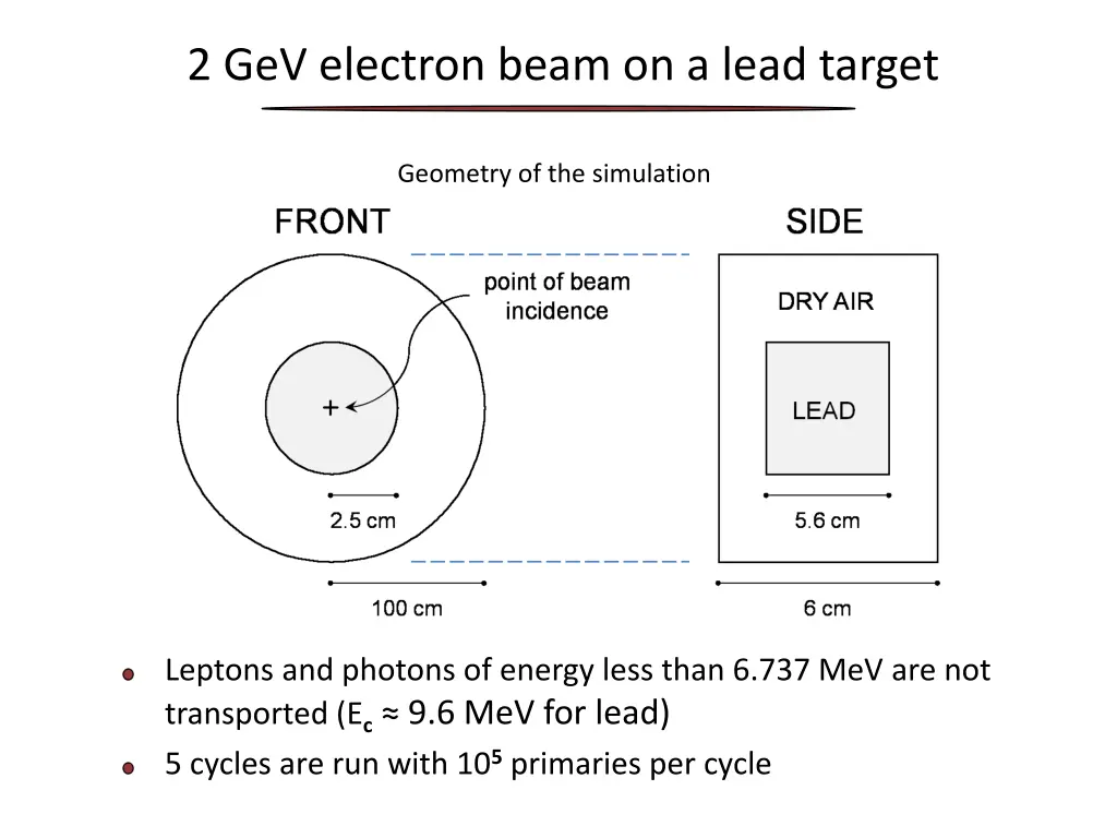 2 gev electron beam on a lead target