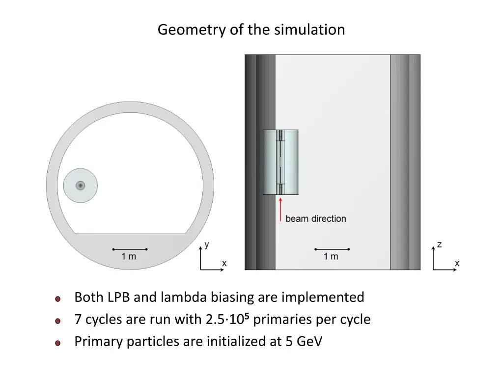 geometry of the simulation