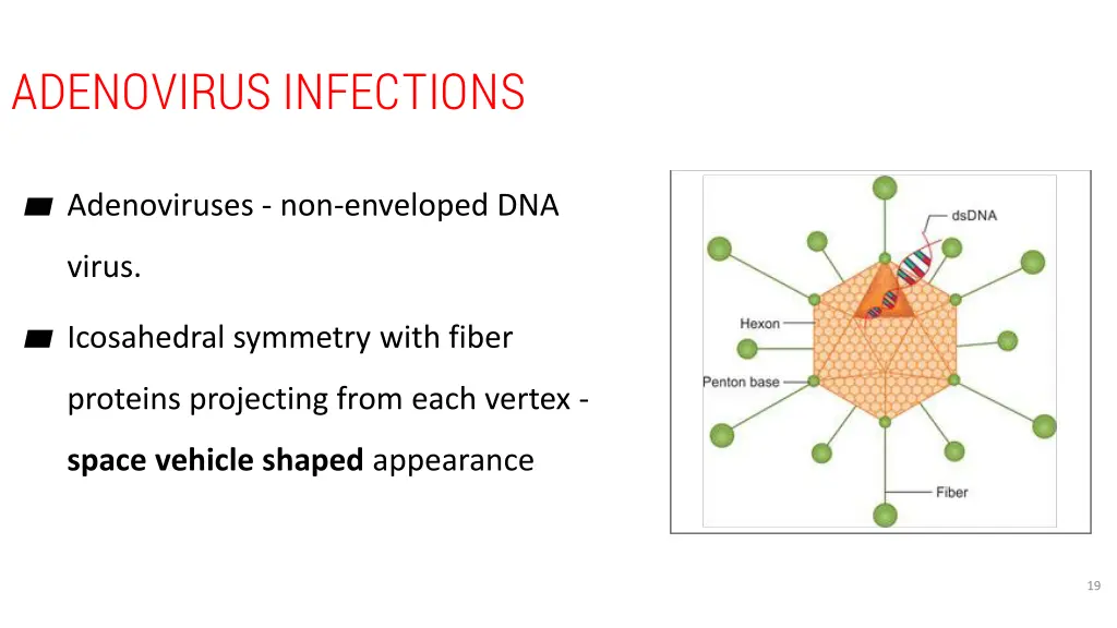 adenovirus infections 1