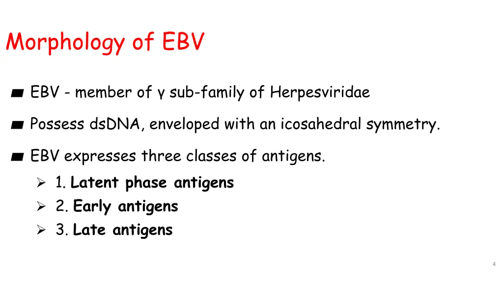 morphology of ebv