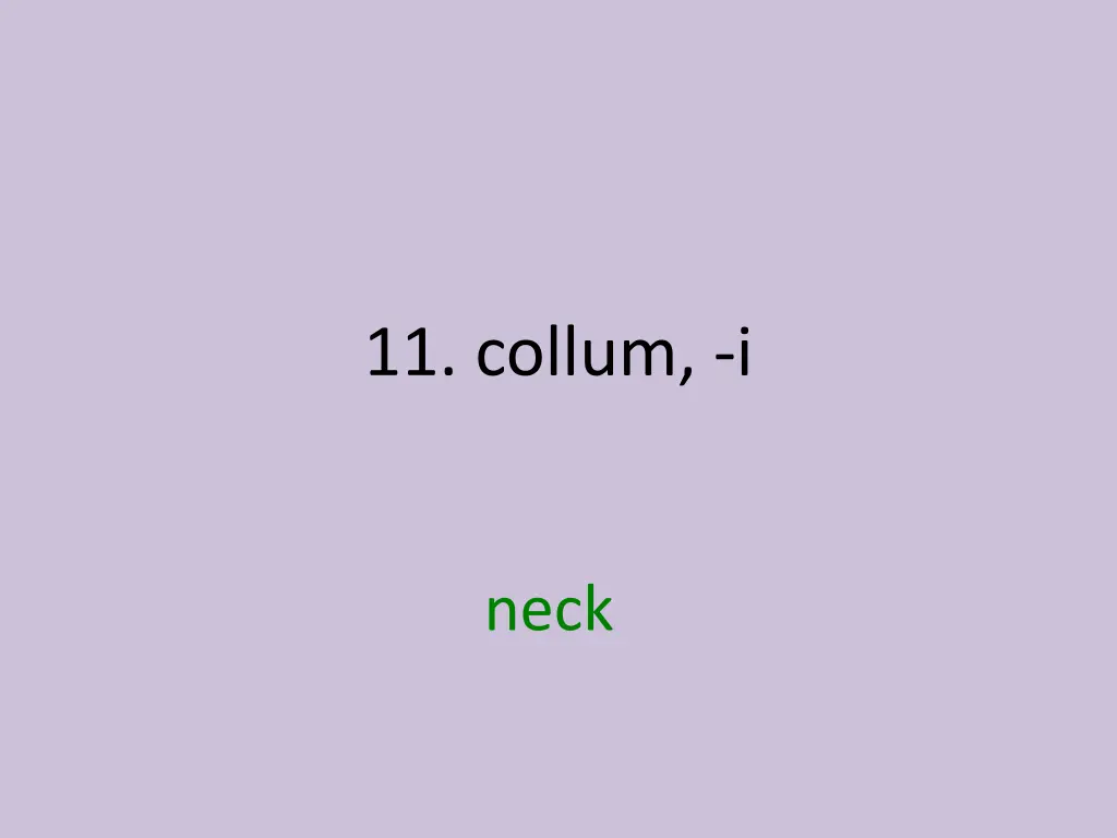 11 collum i 1