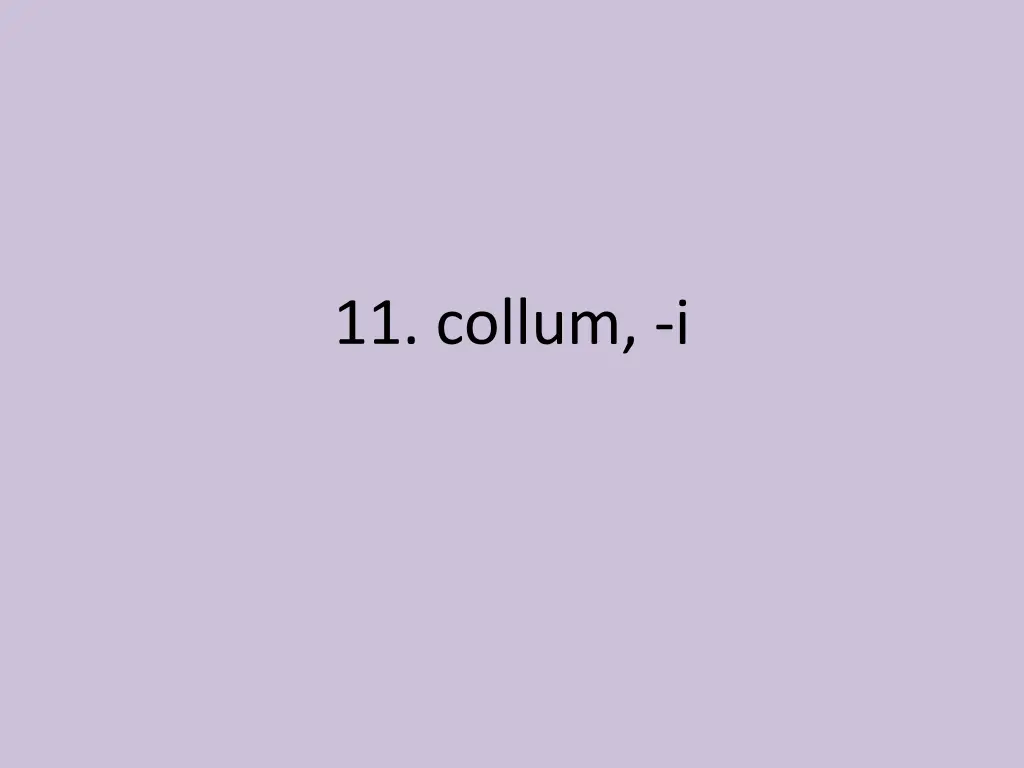 11 collum i
