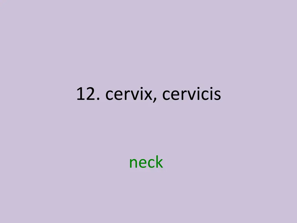 12 cervix cervicis 1