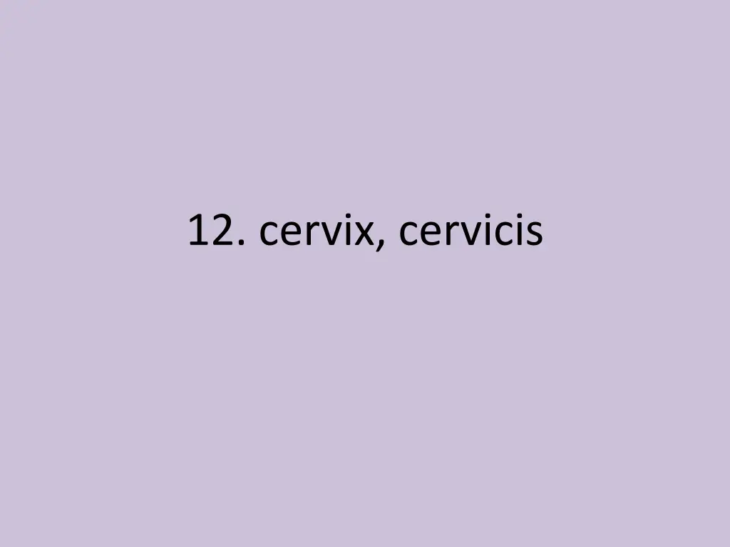 12 cervix cervicis