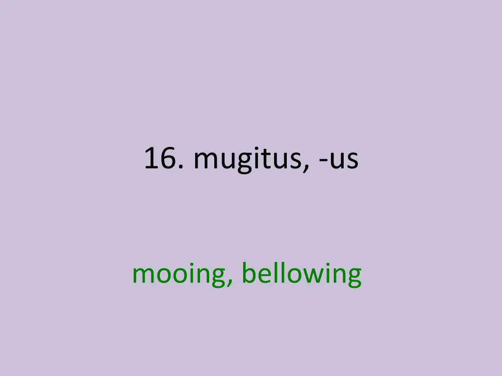 16 mugitus us 1