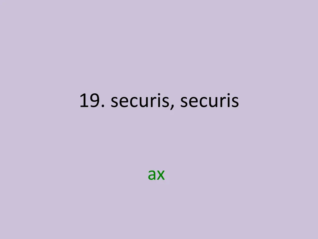 19 securis securis 1