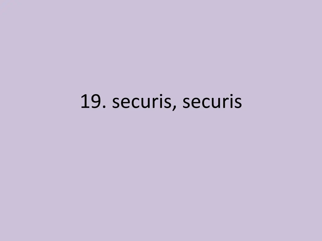 19 securis securis