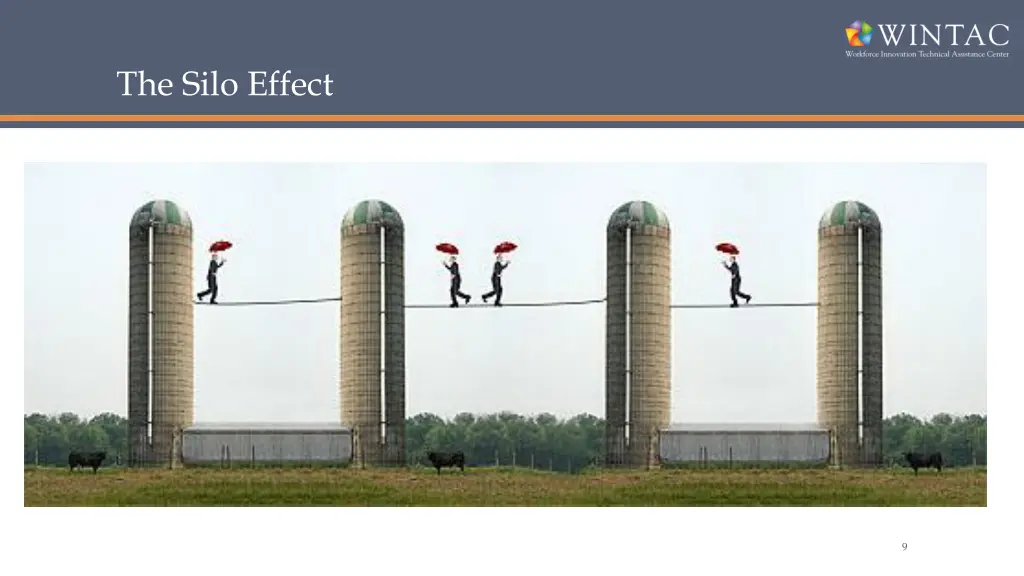 the silo effect