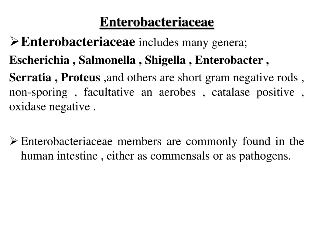 enterobacteriaceae