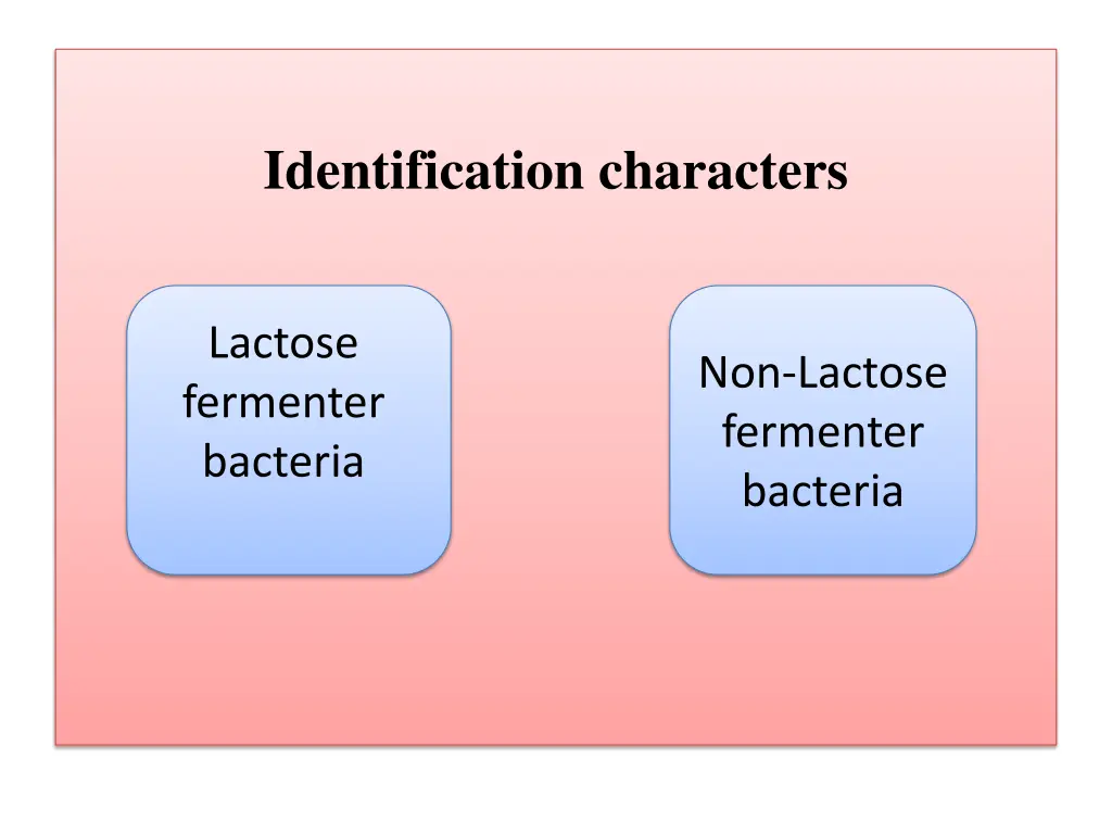 identification characters