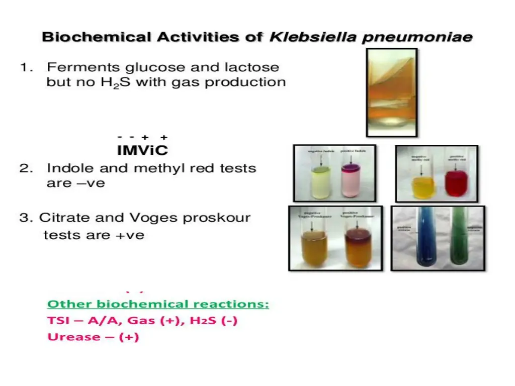 slide10