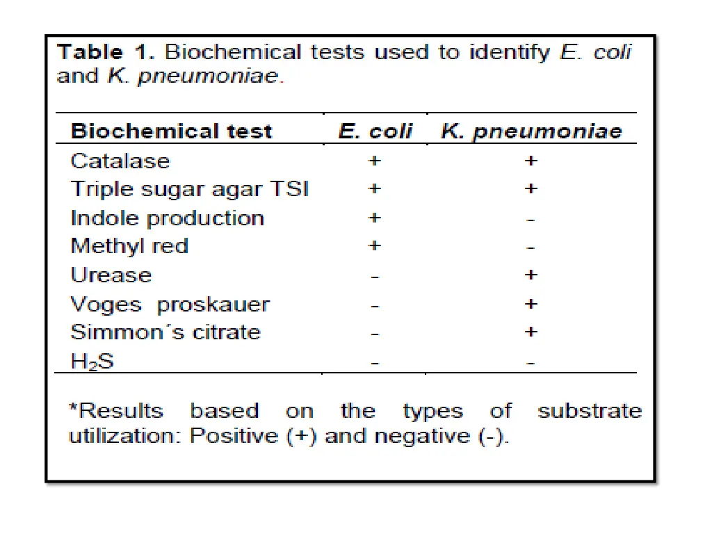 slide11