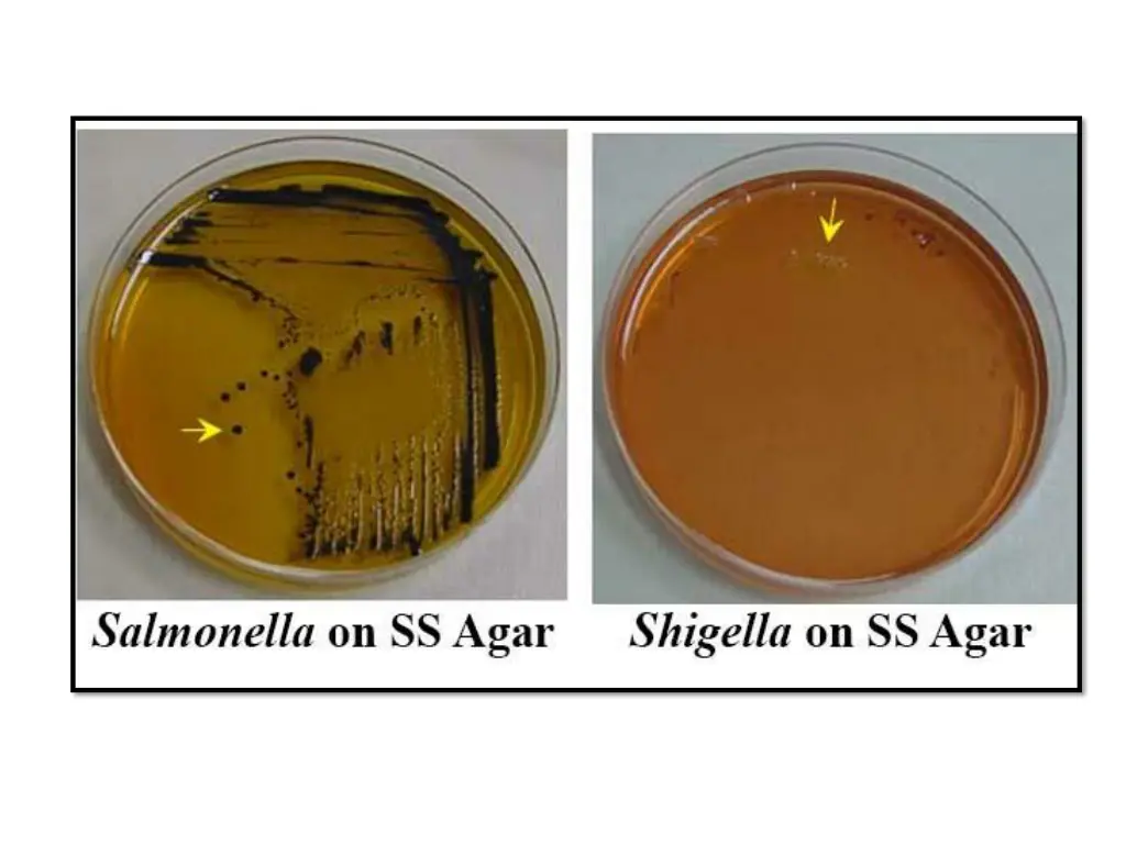 slide13
