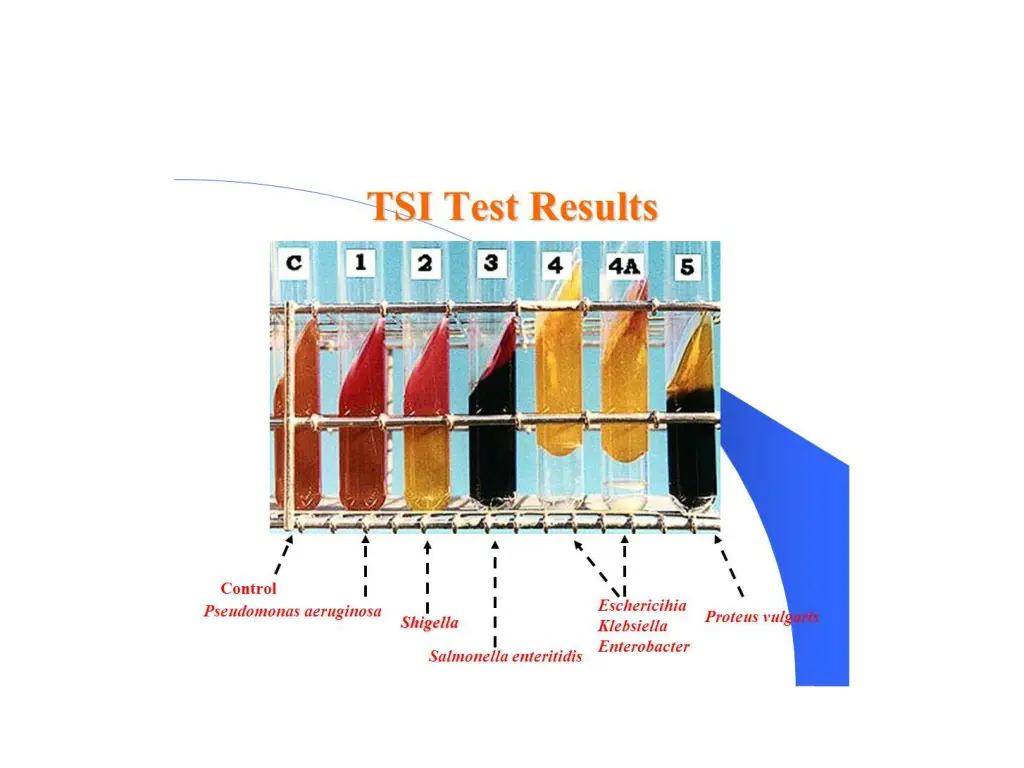 slide18
