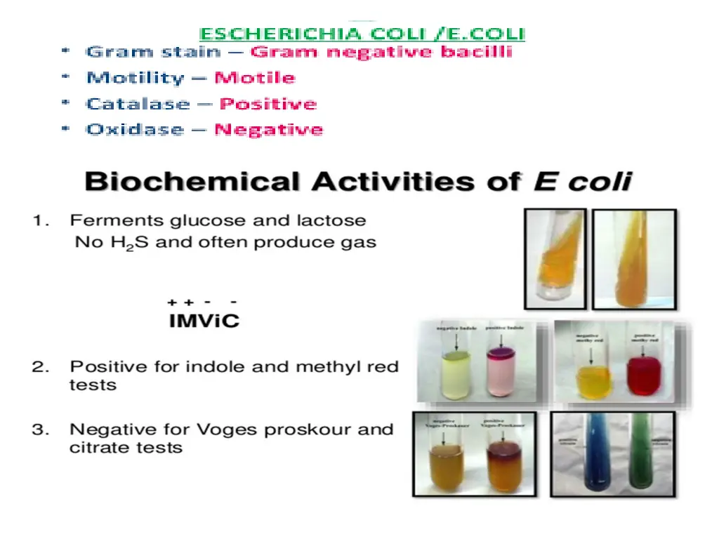 slide7