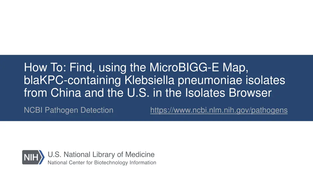 how to find using the microbigg e map blakpc