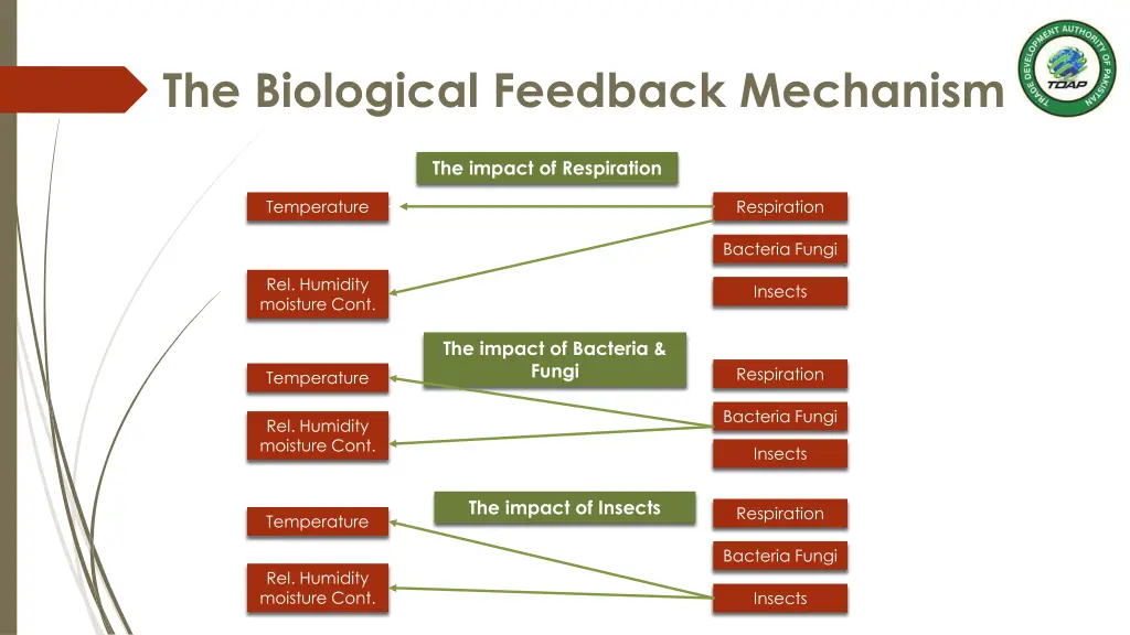 the biological feedback mechanism
