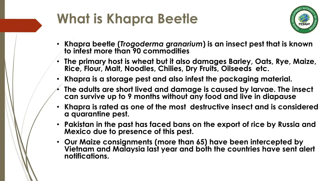 what is khapra beetle