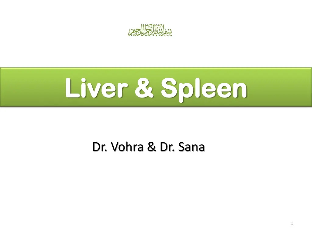 liver spleen liver spleen