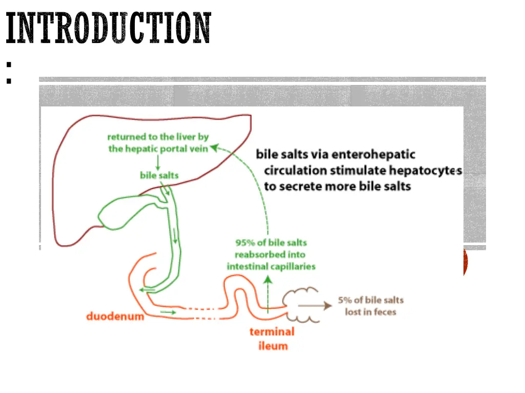 introduction 1