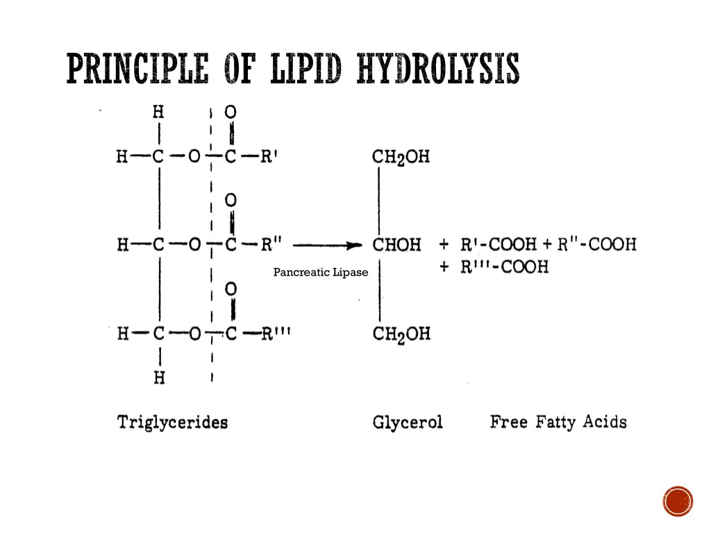 principle of lipid hydrolysis