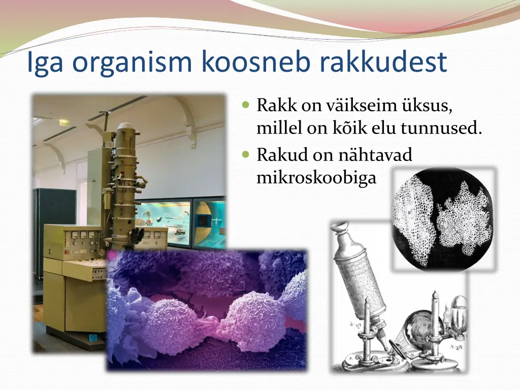 iga organism koosneb rakkudest