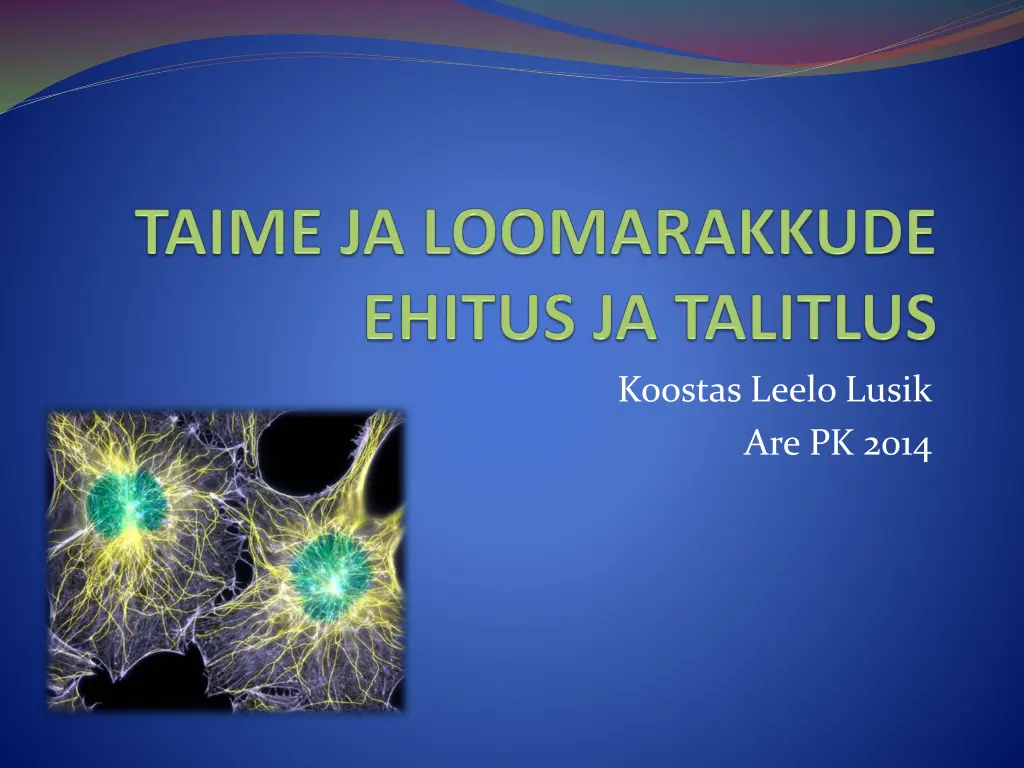 koostas leelo lusik are pk 2014