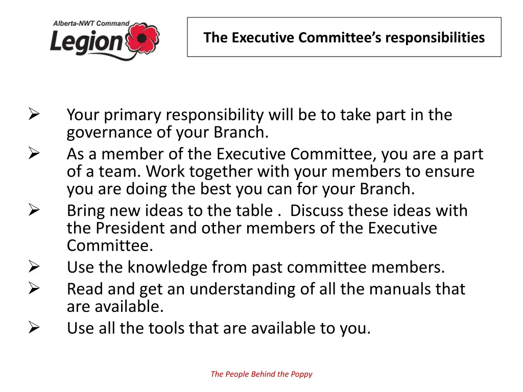 the executive committee s responsibilities