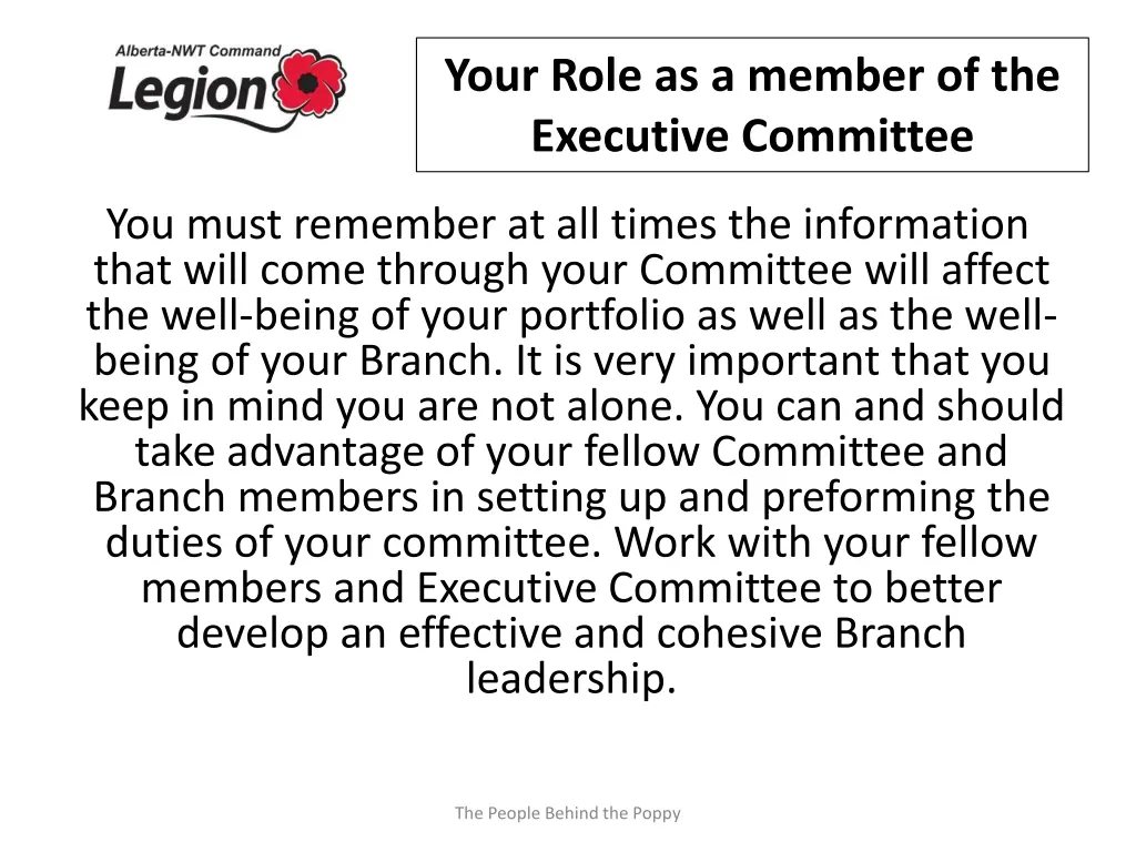 your role as a member of the executive committee 1
