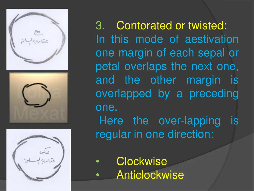 3 in this mode of aestivation one margin of each