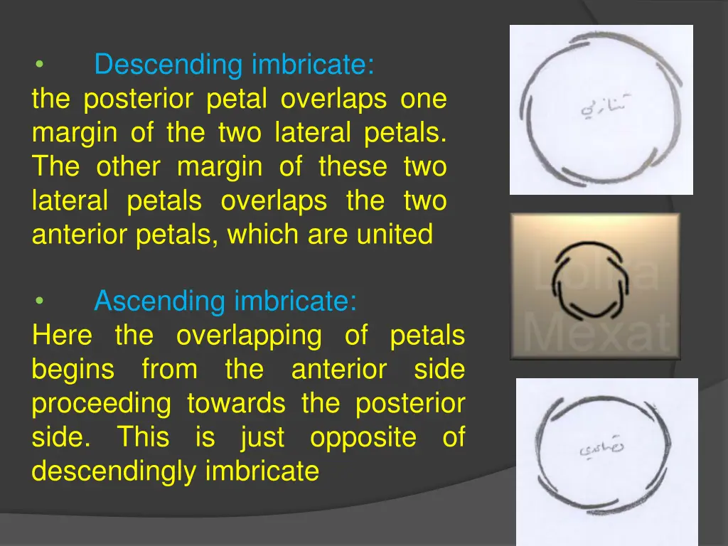 descending imbricate