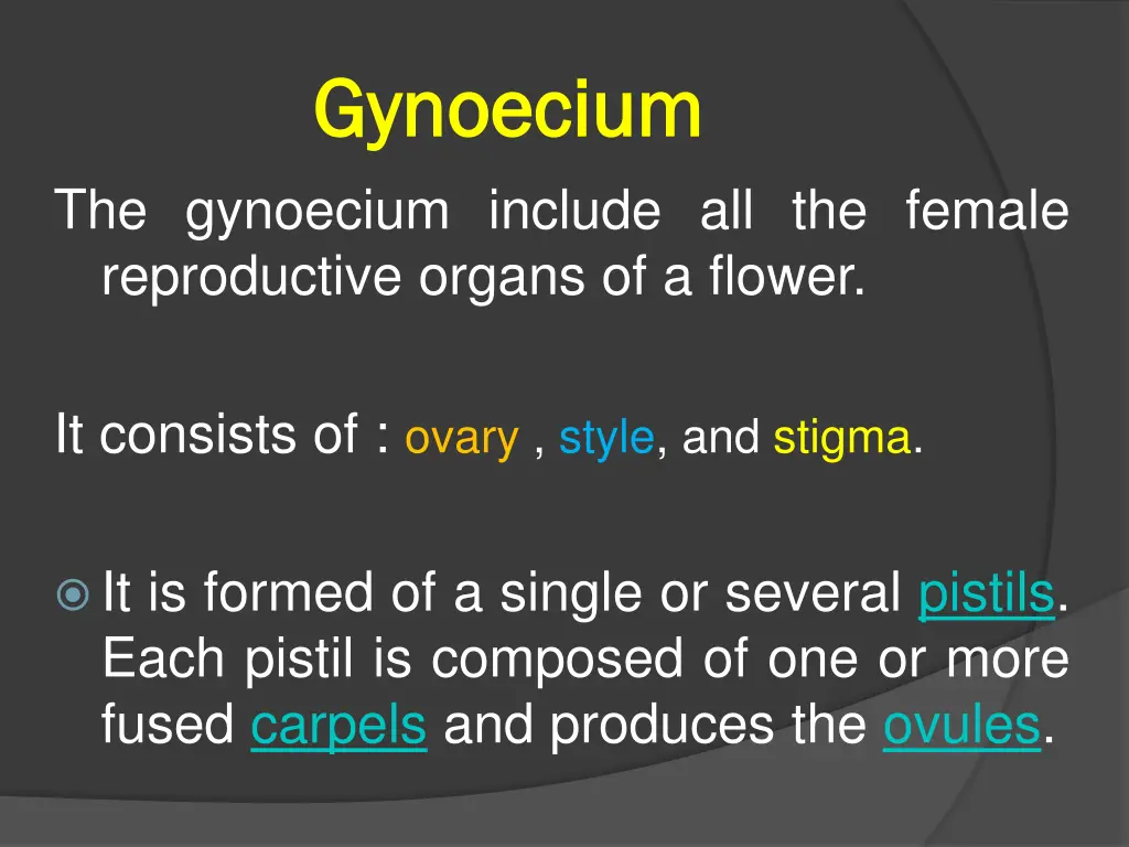 gynoecium gynoecium