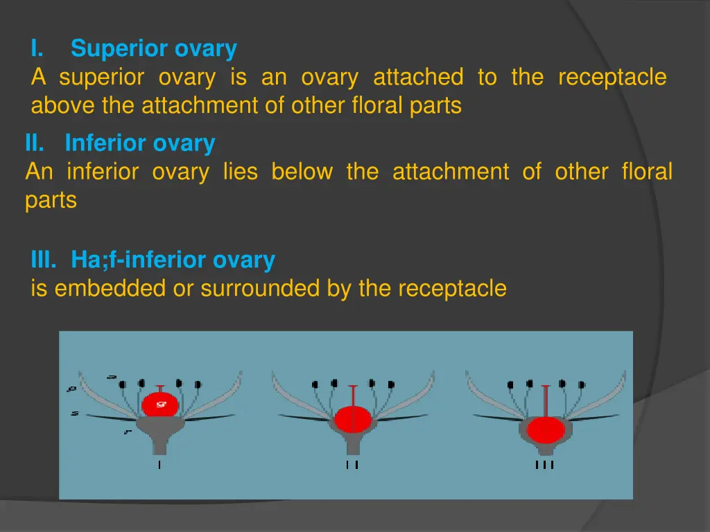i a superior ovary is an ovary attached