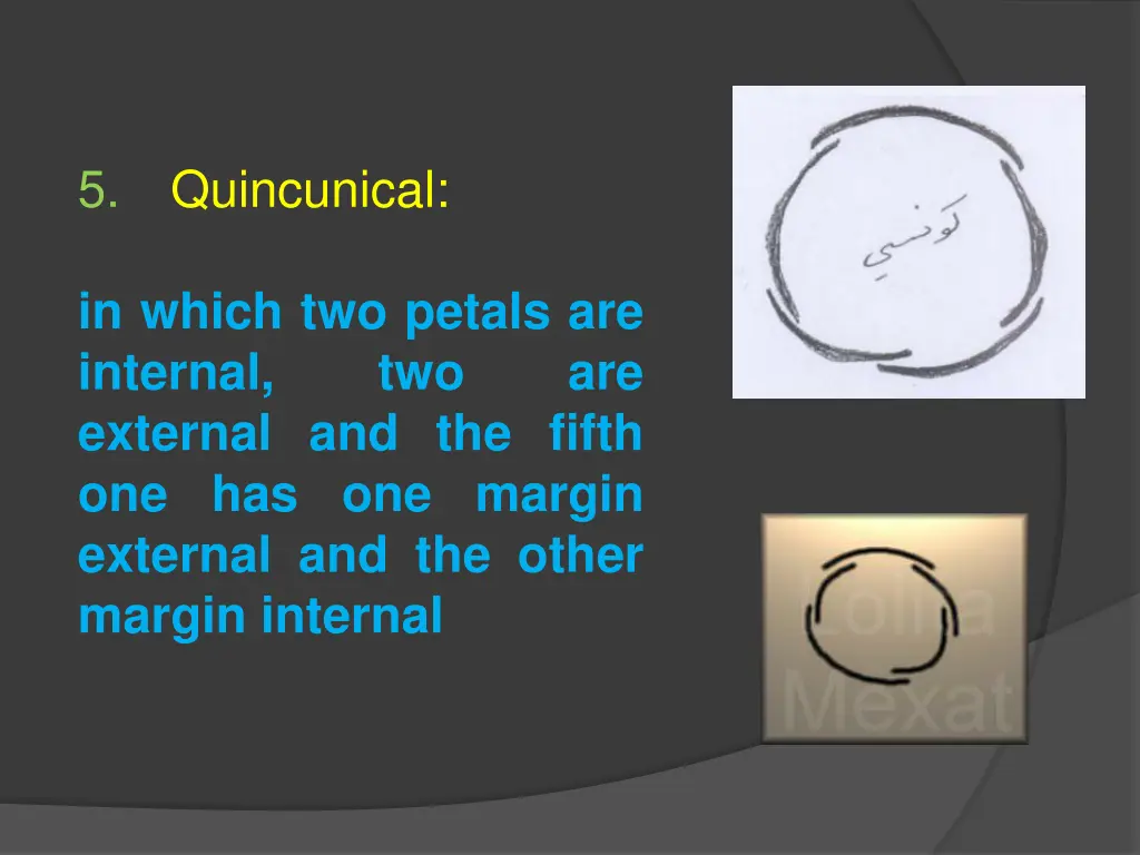 slide11
