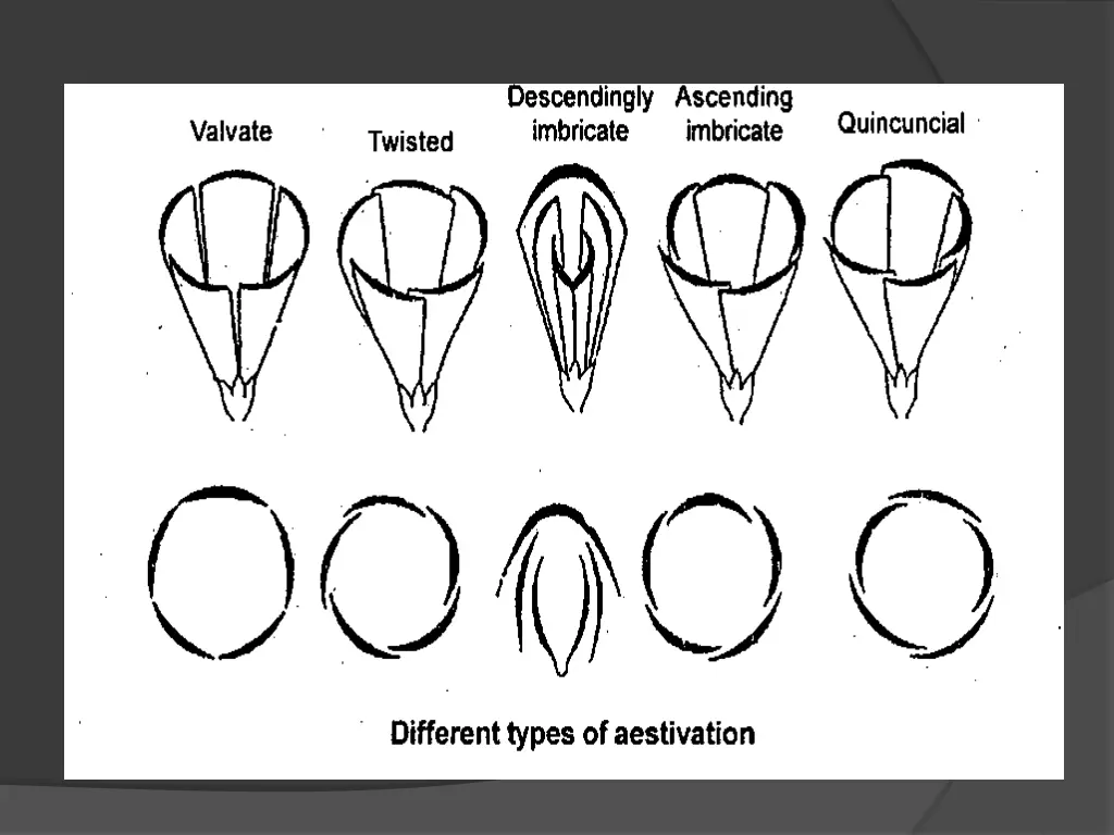 slide6