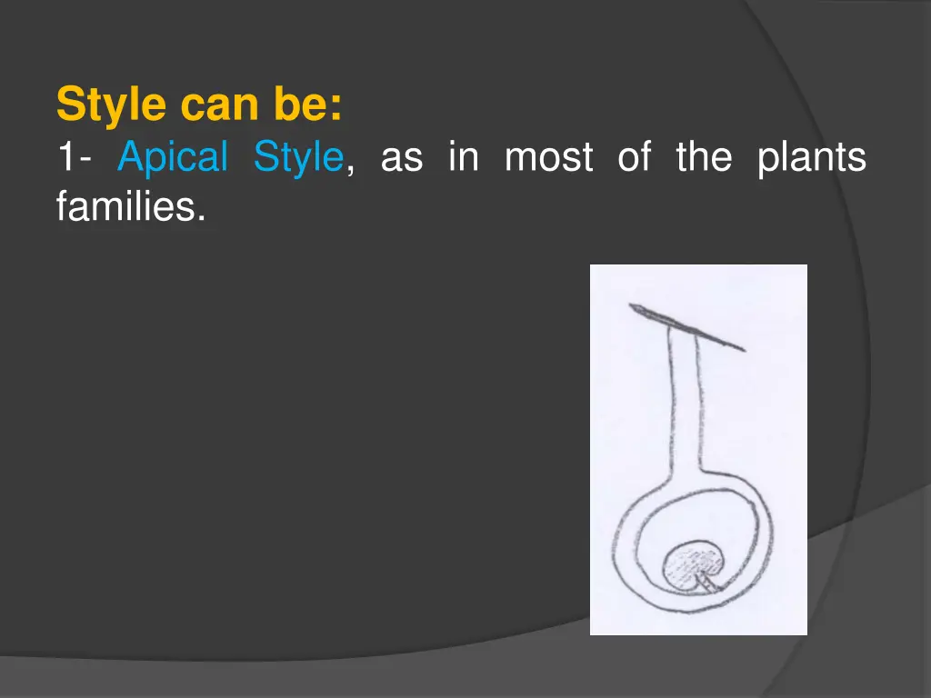 style can be 1 apical style as in most