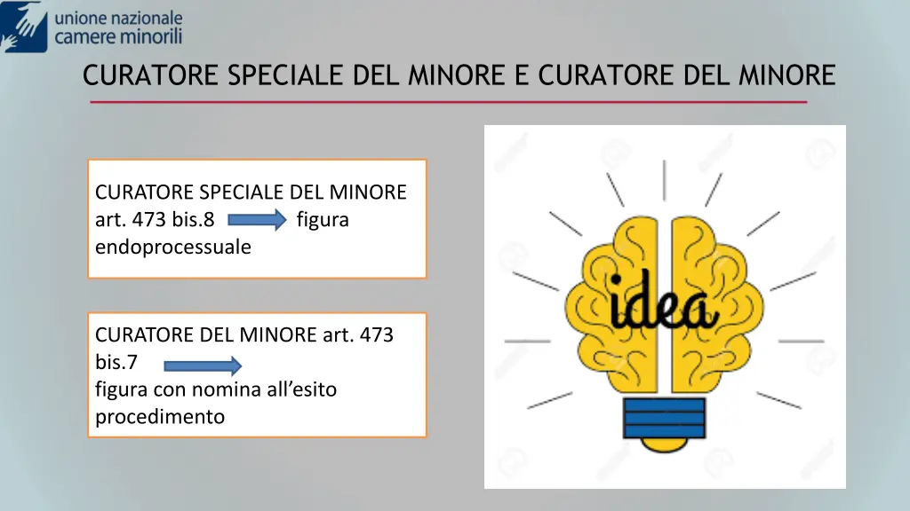curatore speciale del minore e curatore del minore