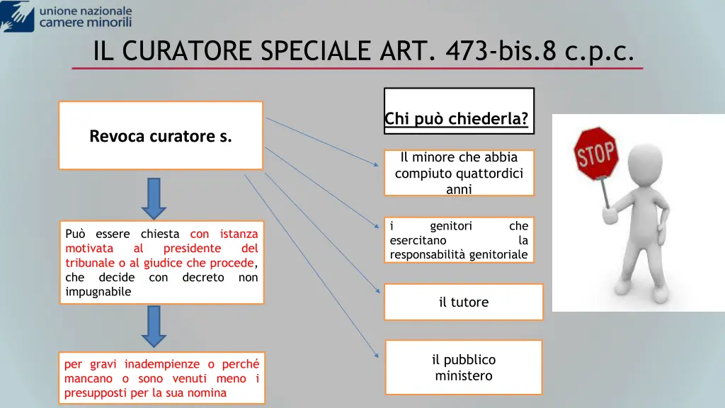 il curatore speciale art 473 bis 8 c p c 2