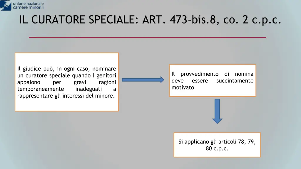 il curatore speciale art 473 bis 8 co 2 c p c