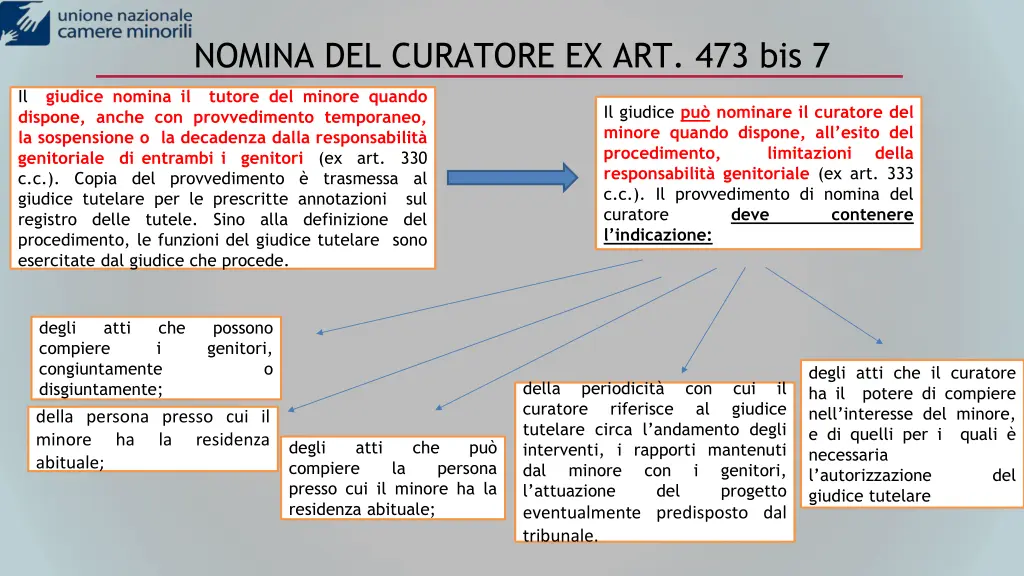 nomina del curatore ex art 473 bis 7