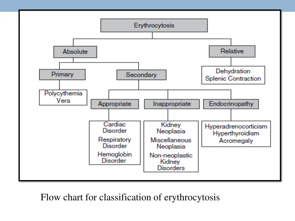 flow chart for classification of erythrocytosis