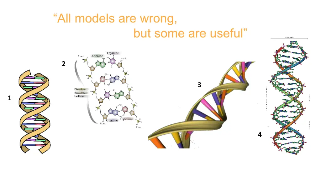 all models are wrong
