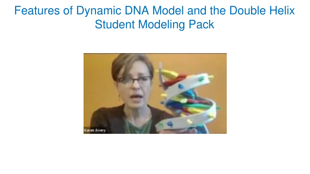 features of dynamic dna model and the double