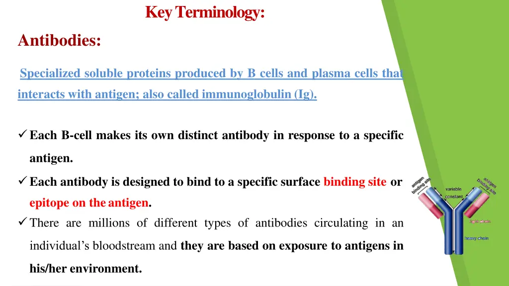 keyterminology
