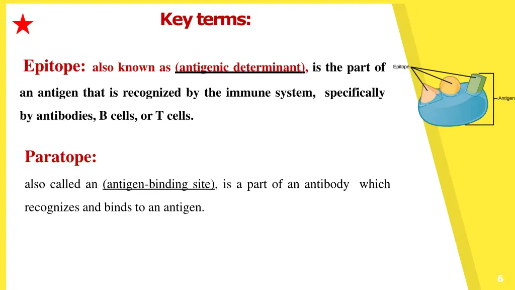 keyterms